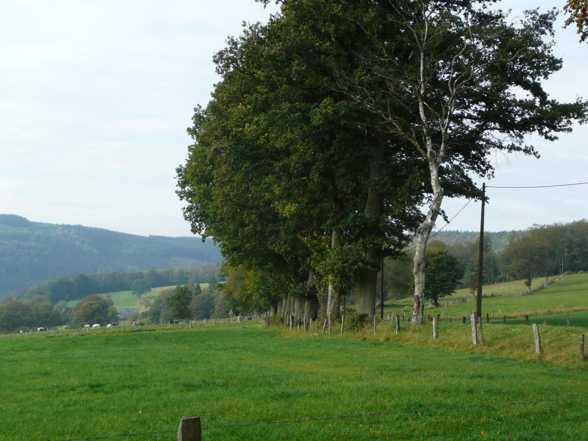 Le Fournil Gite Rural Trois-Ponts Exterior photo